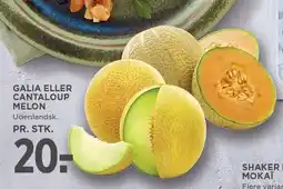 MENY GALIA ELLER CANTALOUP MELON tilbud