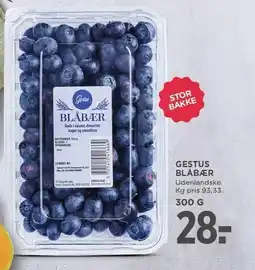 MENY GESTUS BLÅBÆR tilbud