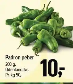 Føtex Padron peber tilbud
