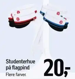 Føtex Studenterhue på flagpind tilbud