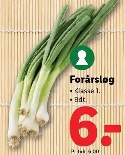 Lidl Forårsløg tilbud