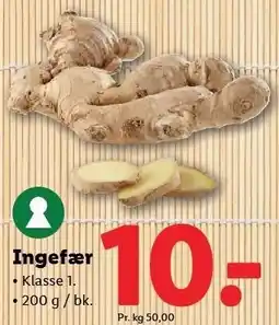 Lidl Ingefær tilbud