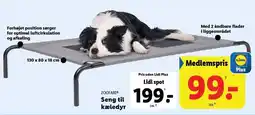 Lidl Seng til kæledyr tilbud