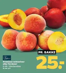 Netto Premieur nektariner eller ferskner tilbud
