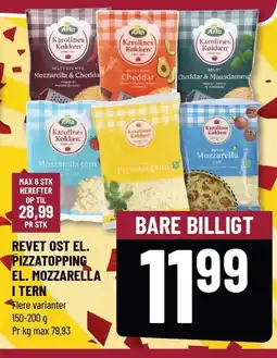 Løvbjerg REVET OST EL. PIZZATOPPING EL. MOZZARELLA I TERN tilbud