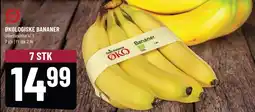 Løvbjerg ØKOLOGISKE BANANER tilbud