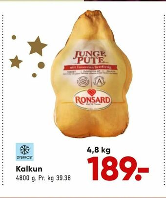 Kalkun