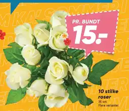 Bilka 10 stilke roser tilbud