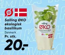 Bilka Salling ØKO økologisk basilikum tilbud