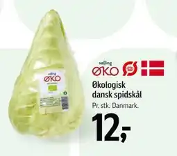 Føtex Økologisk dansk spidskål tilbud