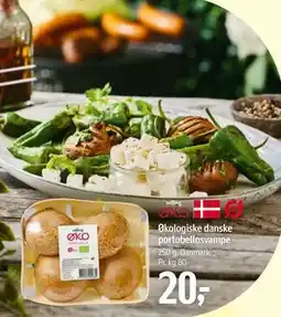 Føtex Økologiske danske portobellosvampe tilbud