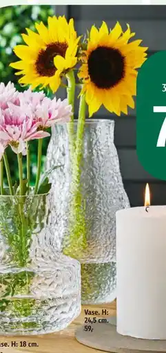 Føtex Vase tilbud
