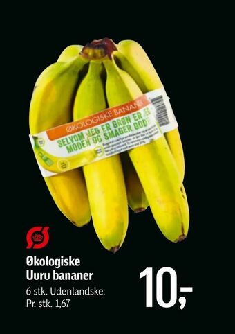 Føtex Økologiske Uuru bananer tilbud