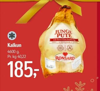 Kalkun