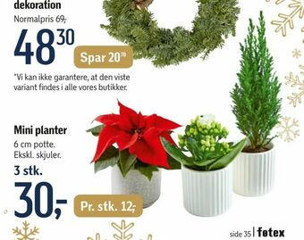 Føtex Mini planter tilbud