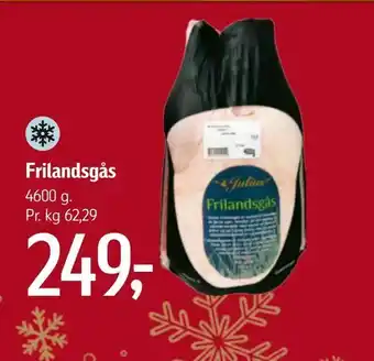 Frilandsgås