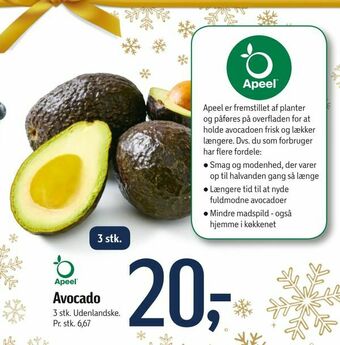 Føtex Avocado tilbud