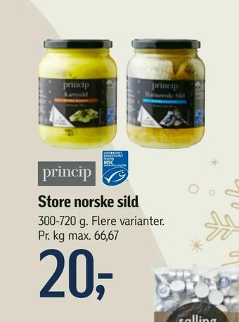 Store norske sild
