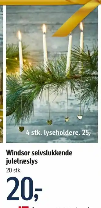 Føtex Windsor selvslukkende juletræslys tilbud