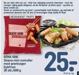 REMA 1000 REMA 1000 Skæve mini ovnruller med grøntsager tilbud