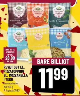 Løvbjerg Arla REVET OST EL. PIZZATOPPING EL. MOZZARELLA I TERN Flere varianter tilbud