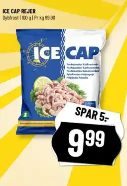 Løvbjerg ICE CAP REJER tilbud