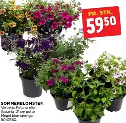 jem & fix SOMMERBLOMSTER tilbud