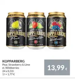 Nielsen's Discount KOPPARBERG tilbud