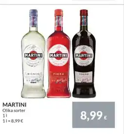 Nielsen's Discount MARTINI tilbud