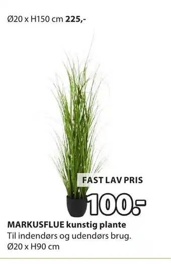 JYSK MARKUSFLUE kunstig plante tilbud