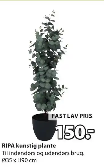JYSK RIPA kunstig plante tilbud