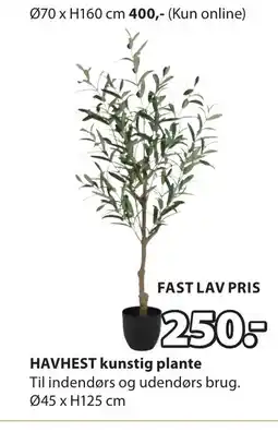 JYSK HAVHEST kunstig plante tilbud