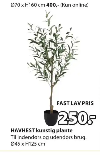 JYSK HAVHEST kunstig plante tilbud