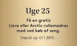 SengeSpecialisten UGE 25 FÅ EN GRATIS LIXRA ELLER ARCTIC RULLEMADRAS MED VED KØB AF SENG tilbud
