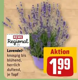 REWE DE REWE Regional Lavendel¹ tilbud