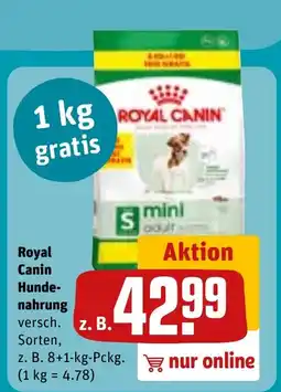 REWE DE Royal Canin Hunde- nahrung tilbud