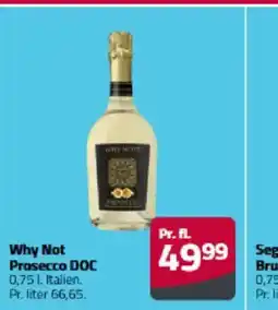 Fleggaard Why Not Prosecco DOC tilbud