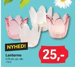 BigDollar Lanterne tilbud