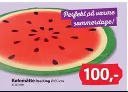 BigDollar Kølemåtte tilbud
