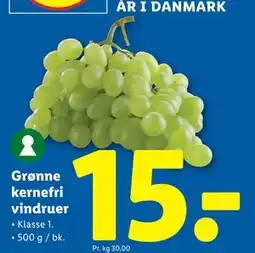 Lidl Grønne kernefri vindruer tilbud