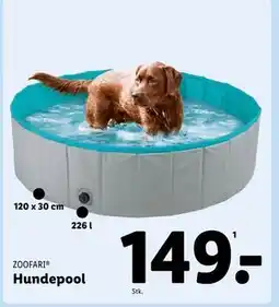 Lidl Hundepool tilbud