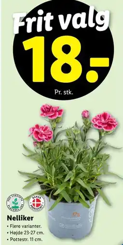 Lidl Nelliker tilbud