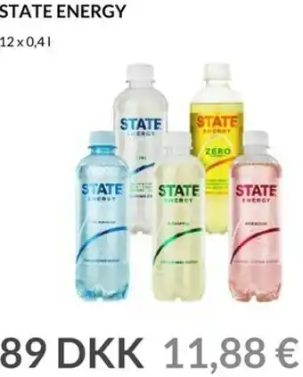 Nielsen's Discount State Energy 12x0,4 L tilbud