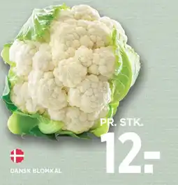 MENY Dask blomkal tilbud