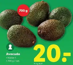Lidl Avocado tilbud