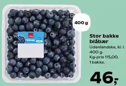 Kvickly Stor bakke blåbær tilbud