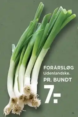 MENY FORÅRSLØG tilbud