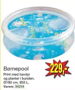 Harald Nyborg Børnepool tilbud