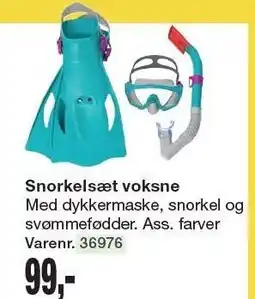 Harald Nyborg Snorkelsæt voksne tilbud