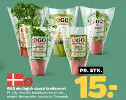 Netto ØGO økologisk dansk krydderurt tilbud